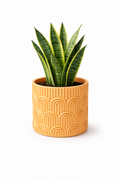 Indoor plant pot